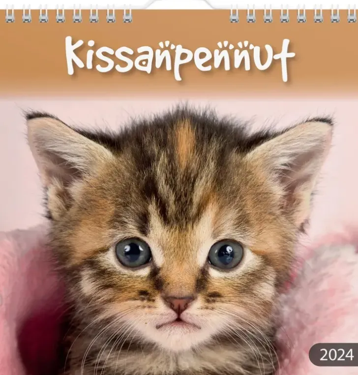 Burde Seinakalenteri 2024 Kissanpennut