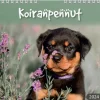 Burde Seinakalenteri 2024 Koiranpennut