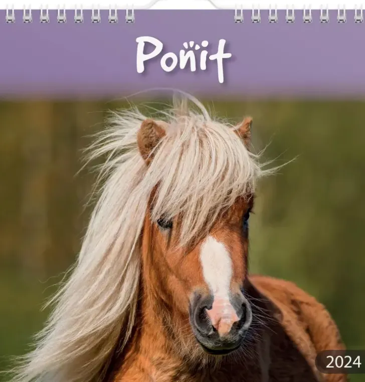 Burde Seinakalenteri 2024 Ponit