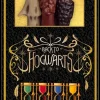Harry Potter Taikasauvakynasetti