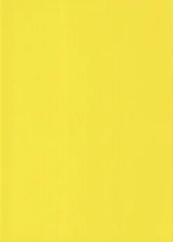 Karto Kartonki Keltainen 50X70Cm 220Gsm 5Ark/Pss
